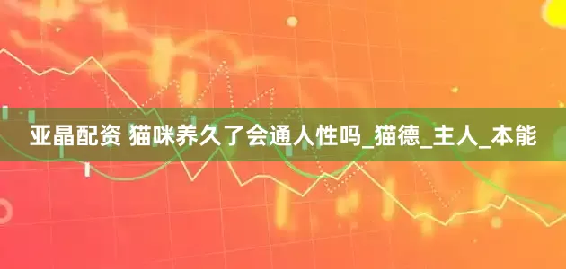 亚晶配资 猫咪养久了会通人性吗_猫德_主人_本能